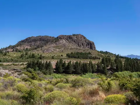 Lote 5.000mts con acceso a costa de arroyo