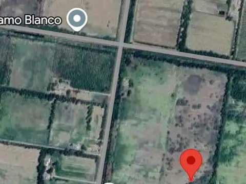 4 Hectareas en blanco, localidad de Cervantes.