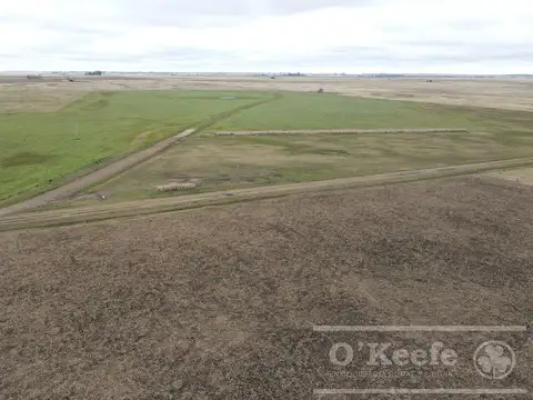 Campo en venta 175 has Chascomus