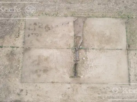 Campo en venta 175 has Chascomus