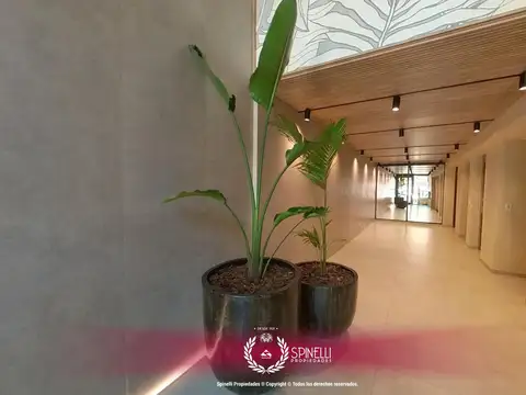 Departamento en Alquiler en Villa Pueyrredon, $ 650.000