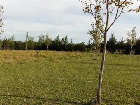 Terrenos venta - 44x51mts - 2275mts2 totales - Baradero