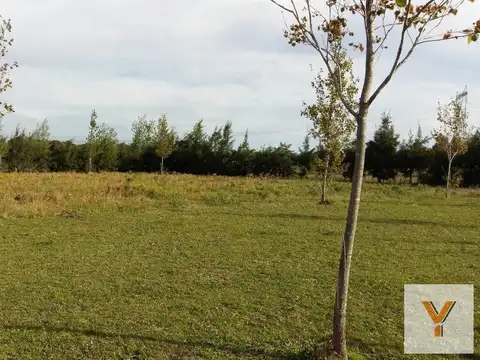 Terrenos venta - 44x51mts - 2275mts2 totales - Baradero