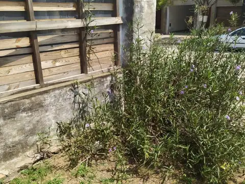 Casa 3 ambientes con 1 baño