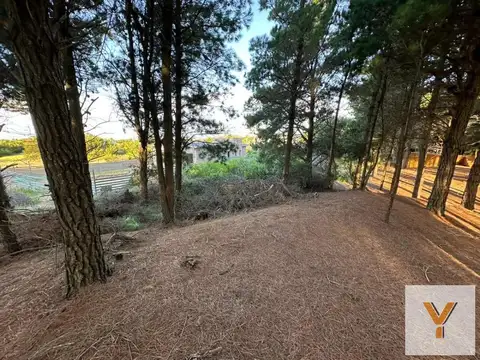 Terreno en Venta de 938,0 m2