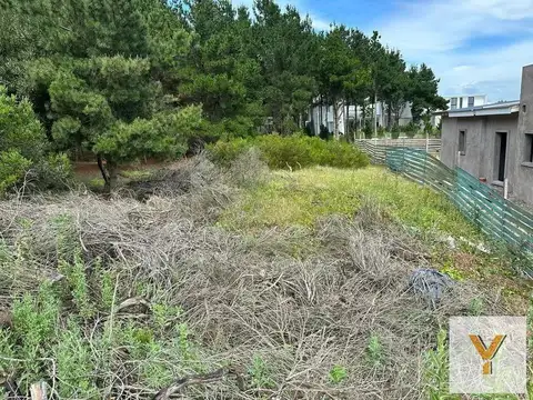 Terreno en Venta 20  mts Frente