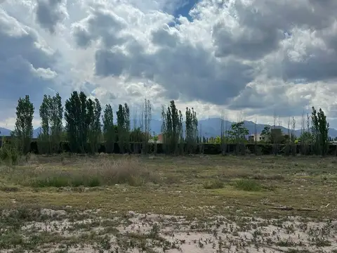 Terreno en Venta de 1128,0 m2