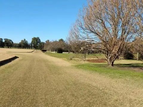 Terreno en Venta 50  mts Frente