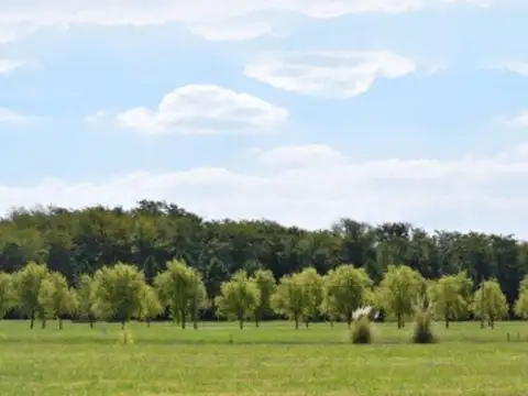 Venta de terreno en Campos de Roca 2