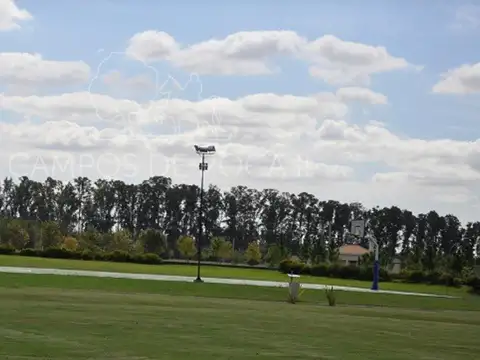 Campos De Roca 2