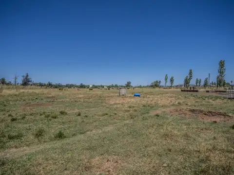 Lote 8 hectáreas Lujan sobre Colectora Acceso Oeste