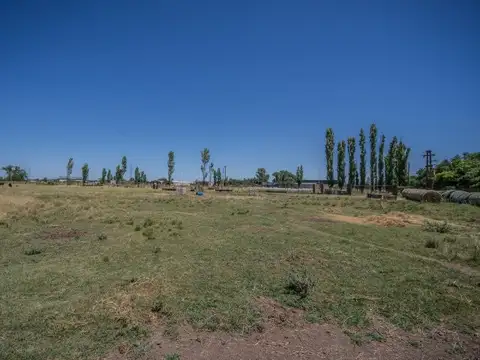 Terreno en Venta de 8000,0 m2