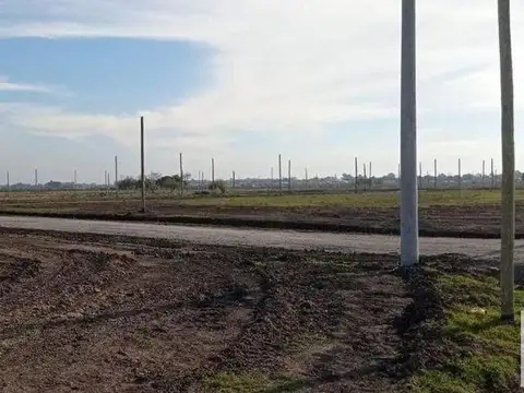 Siempre Verde -  602 y 23
