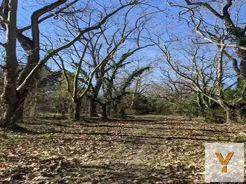 Terreno en Venta 69  mts Fondo