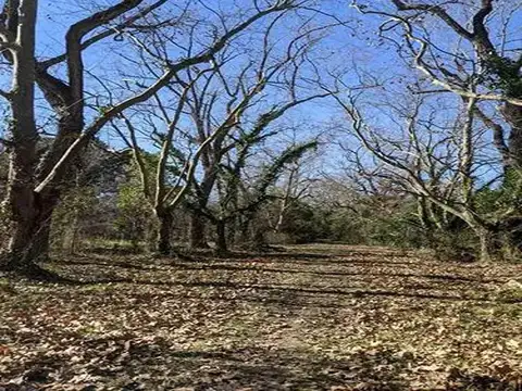 Terreno en Venta 69  mts Fondo