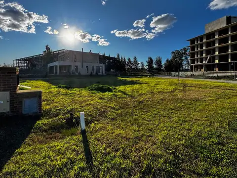 Albanueva 100, Piso 0