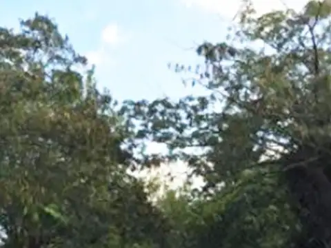 LOTE VENTA MORENO "BANCO PROVINCIA"