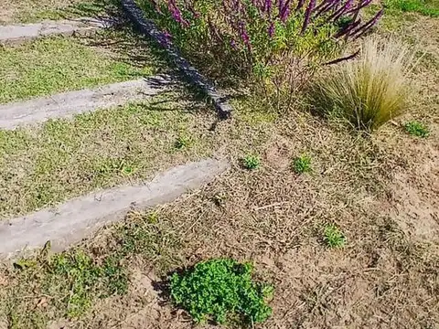 Venta de lote en Laguna de las Pampas