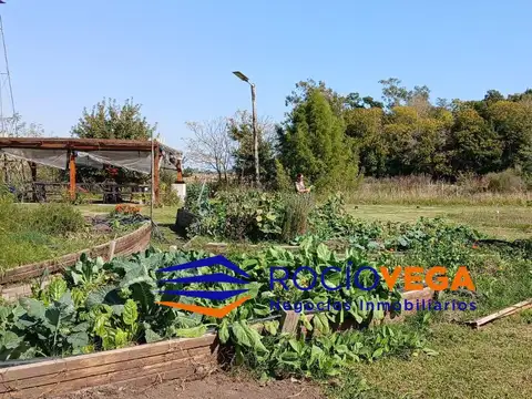 Terreno en Venta 50  mts Frente