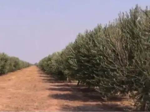 ESTANCIA ÚNICA EN  CÓRDOBA 16.368 HECTÁREAS
