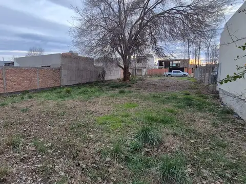 Terreno en Venta en Plottier, Confluencia
