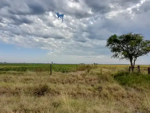 44 has Zona Aurelia campo mixto.