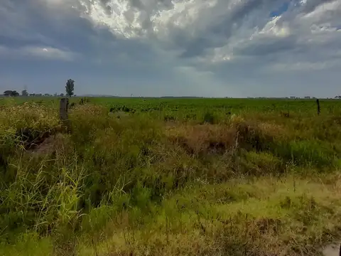 44 has Zona Aurelia campo mixto.