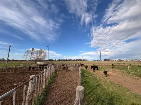 Chacra en Eduardo Castex, La Pampa