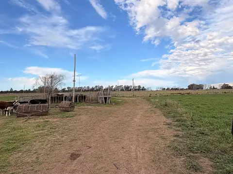 Chacra en Eduardo Castex, La Pampa