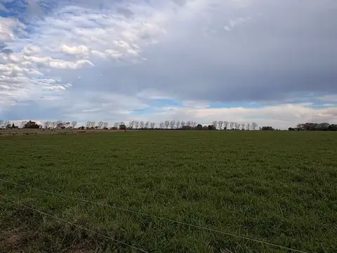 Chacra en Eduardo Castex, La Pampa
