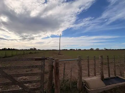 Chacra en Eduardo Castex, La Pampa