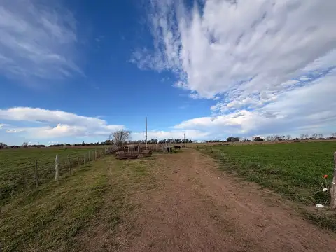 Campo en Venta en Eduardo Castex, Conhelo