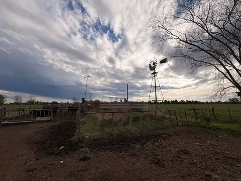Chacra en Eduardo Castex, La Pampa