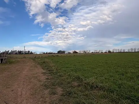 Chacra en Eduardo Castex, La Pampa