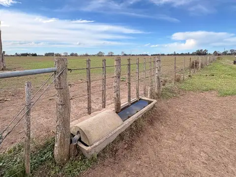 Chacra en Eduardo Castex, La Pampa