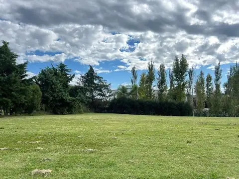 SAN MARCO VILLANUEVA 100