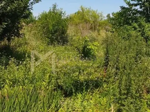 Terreno en Venta de 72362,0 m2