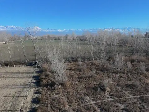 Terreno en venta exclusivo en Tupungato