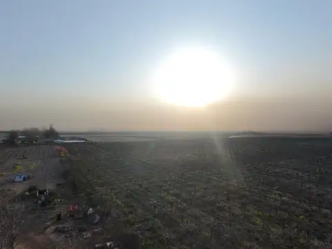 Campo en venta 4.5 Hectareas Ruta 40 Tupungato Mendoza