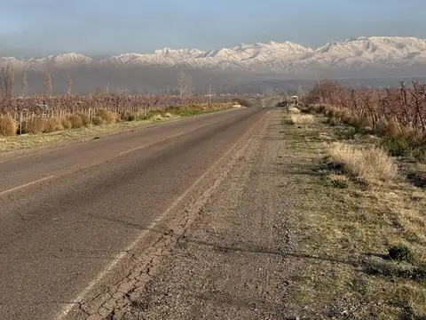 Ruta 40 km 74 Tupungato Mendoza