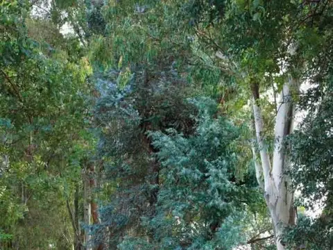 Terreno en Venta de 1000,0 m2