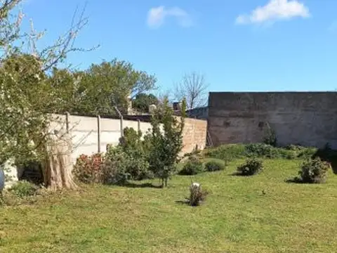 64 e/ 81 y 83 , Piso 0