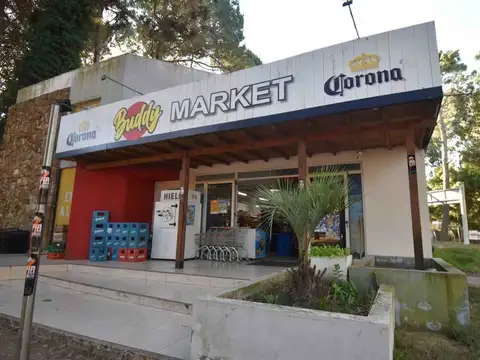 CASUARINA Y CALANDRIA 1400