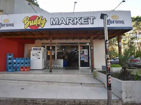 CASUARINA Y CALANDRIA 1400