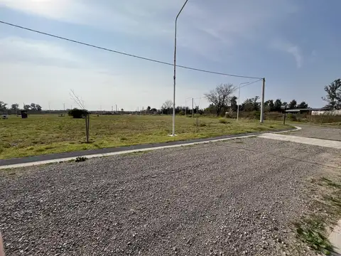 El Manzano y Los Sauces