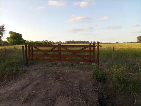 Ruta 2