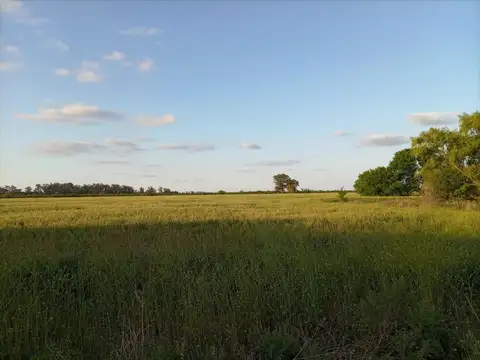 CAMPO EN VENTA EN MONTE VERA - SANTA FE