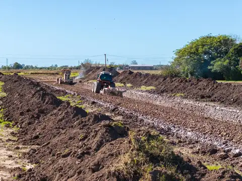 Terreno en General Lagos - GAIA