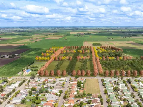 Terreno en General Lagos - GAIA