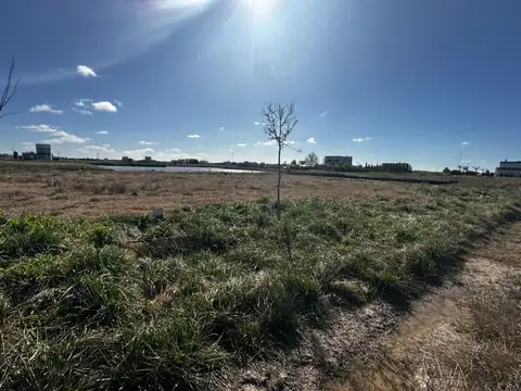 Ruta 2 km 65